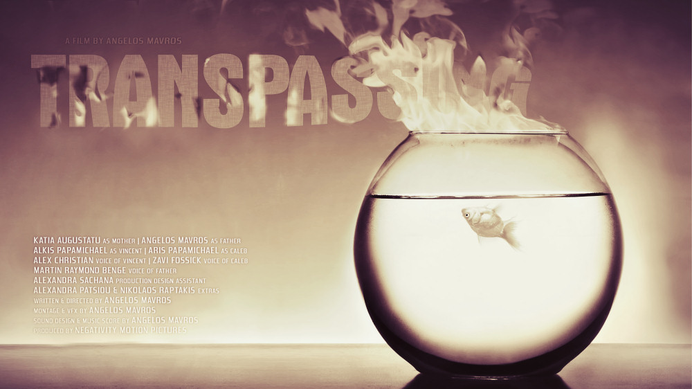 Transpassing wide poster